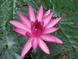 ???????????????????????????????